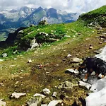 Schoenenboden *