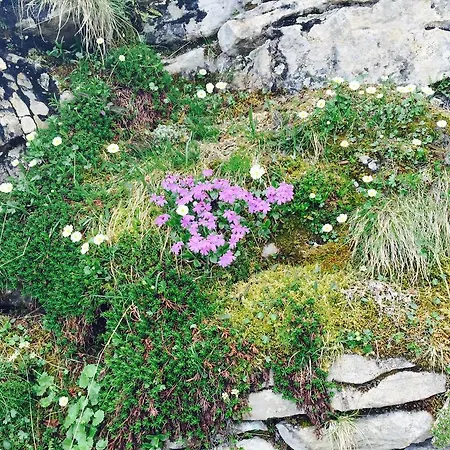 & Z'morgae Schoenenboden *