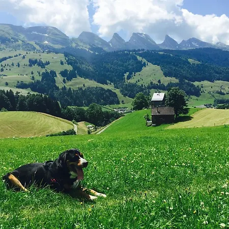 & Z'morgae Schoenenboden Gams