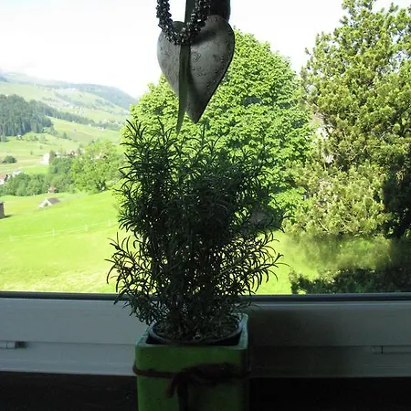 Bed & Breakfast & Z'morgae Schoenenboden *