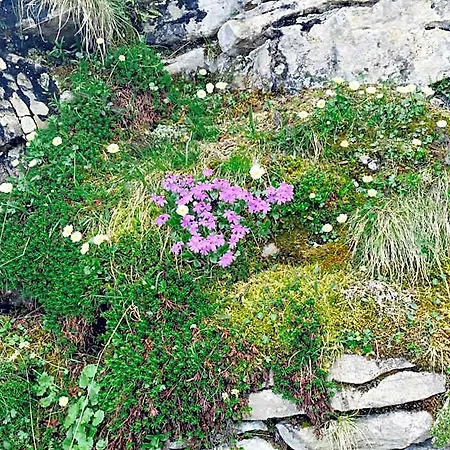 Schoenenboden *