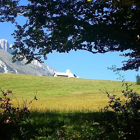 Schoenenboden Wildhaus
