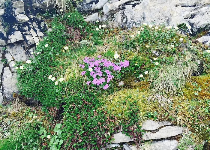 Zimmer & Z'Morgae Schoenenboden *