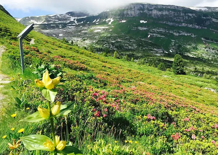 Zimmer & Z'Morgae Schoenenboden Bed & Breakfast Gams