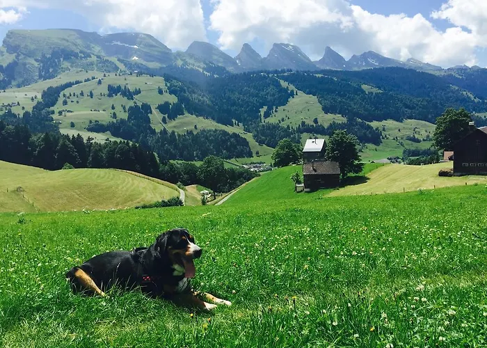 Zimmer & Z'Morgae Schoenenboden Gams