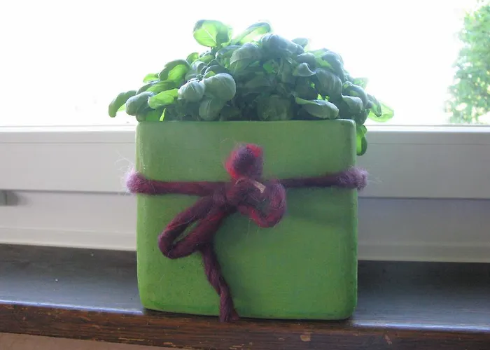 Zimmer & Z'Morgae Schoenenboden * Gams