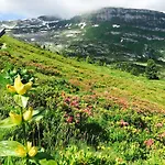 Gasthaus Schoenenboden Bed & Breakfast Gams