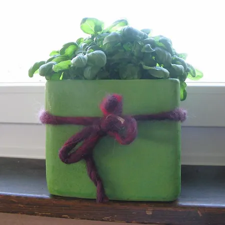 & Z'morgae Schoenenboden * Wildhaus