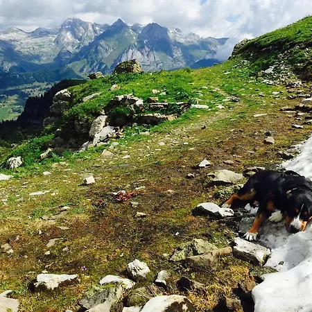 & Z'morgae Schoenenboden *