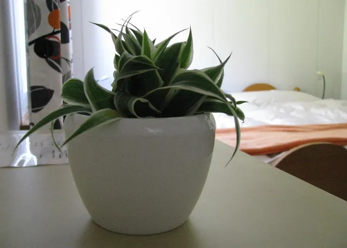 & Z'morgae Schoenenboden * Gams